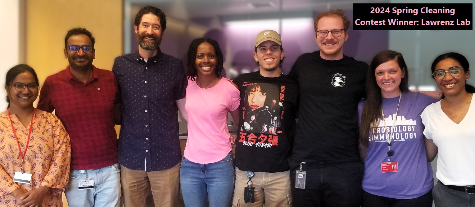 DEHS Ugly Mask Winner Collage