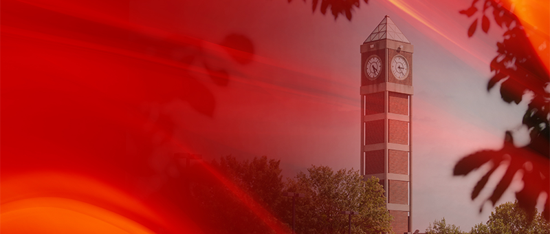 Link to jobs lising page