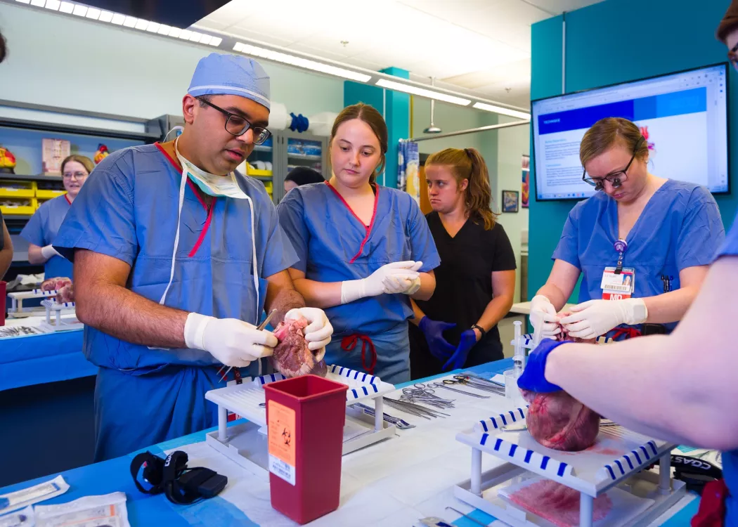 Medical students in a cardiovascular lab watch as a professor demonstrates a technique.