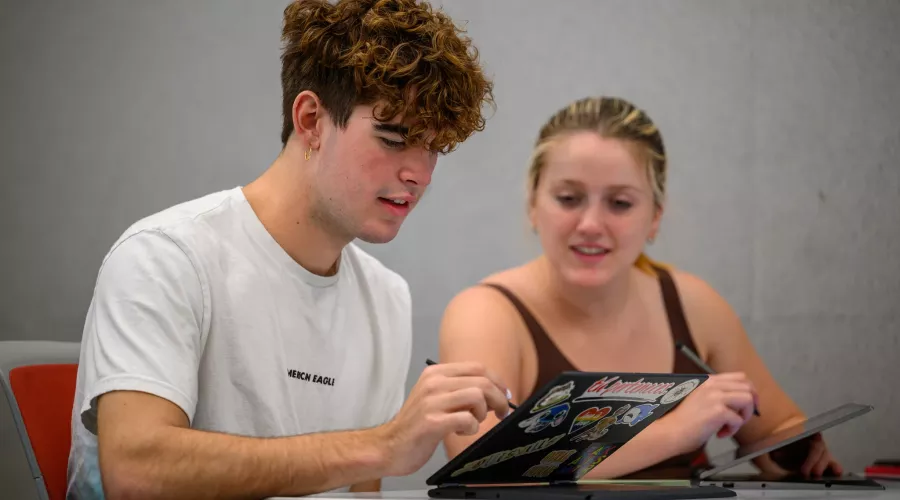 Honors General Chemistry II class at Davidson Hall.